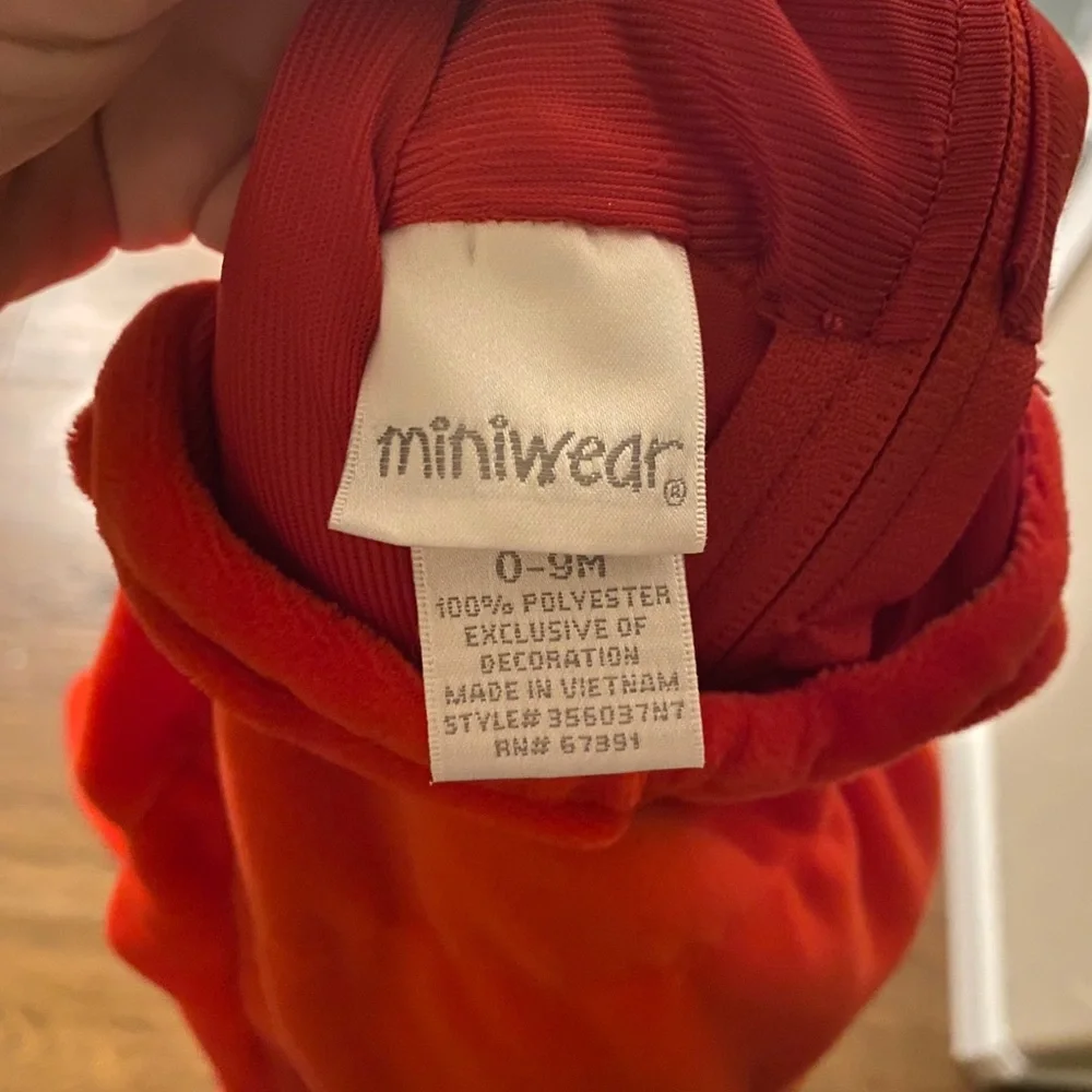 Lobster 🦞 Costume for Halloween